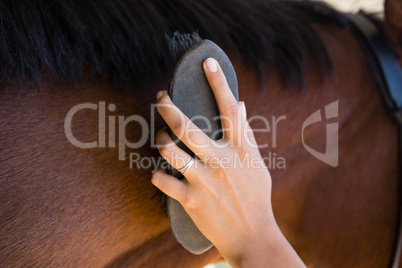 Cropped hand of woman brushing horse mane