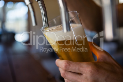 Cropped hand of bartender pouring beer from tap in glass
