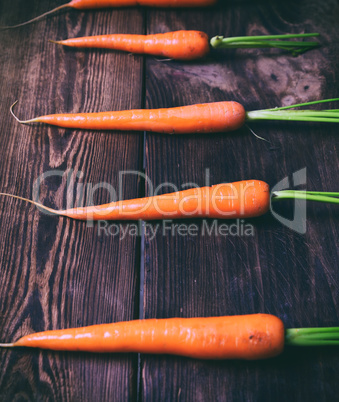 Fresh carrots on a brown background