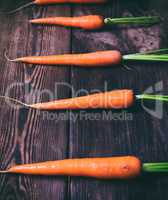 Fresh carrots on a brown background