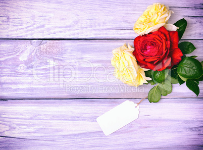 blossoming roses and a paper blank tag