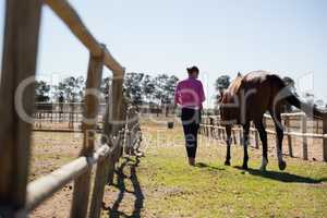 Rear view of woman walking with horse at ranch