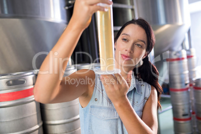 Worker examining beer in test tube at factory