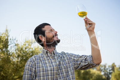 Man looking at glass of wine in olive factory