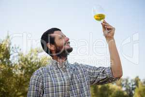 Man looking at glass of wine in olive factory