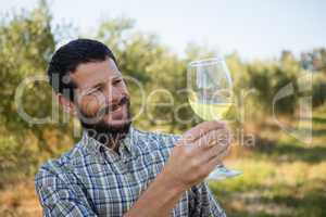 Man looking at glass of wine in olives farm