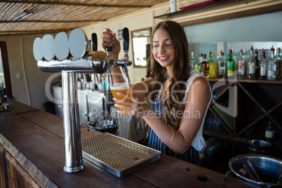 Barmaid pouring beer from tap in glass while standing at bar