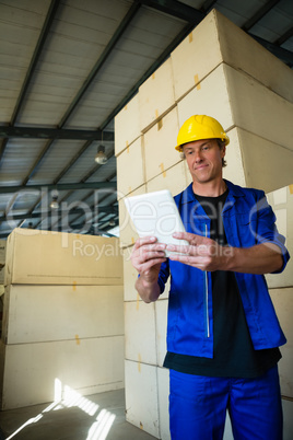 Worker using digital tablet in olives factory