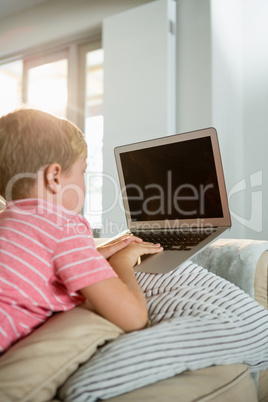 Boy using laptop in the living room