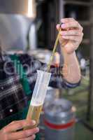 Cropped hand of worker testing beer