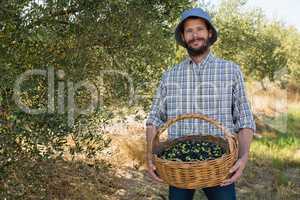 Farmer holding a basket of olives in farm