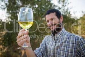 Man looking at glass of wine in olives farm