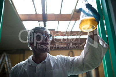 Low angle view of scientist examining beer in factory