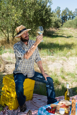 Man looking a glass of wine in olive farm