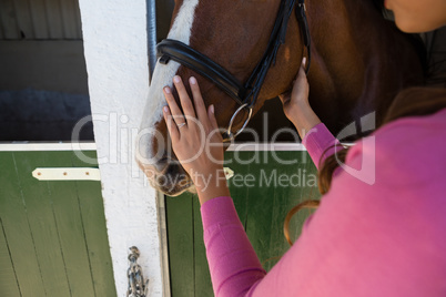 Cropped hands of woman touching horse
