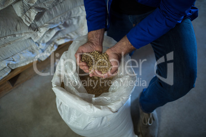 Low section of worker examining barley