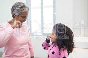 Grandmother and granddaughter brushing teeth in the bathroom