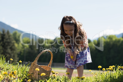 Cute girl collecting flowers from field