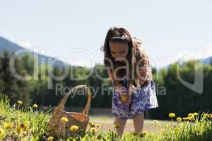Cute girl collecting flowers from field