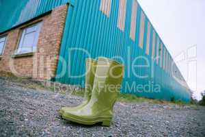 Pair of green wellington boot