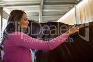 Woman brushing horse