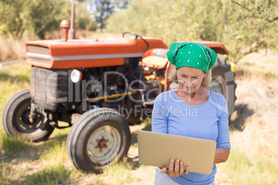 Woman using laptop in olive farm