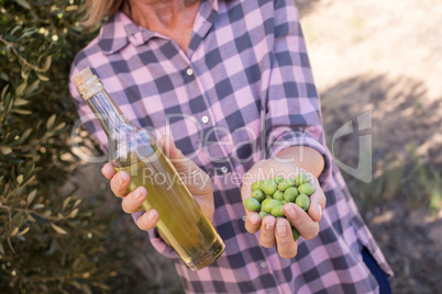 Woman holding olive oil and harvested olives