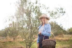 Portrait of happy of woman standing with basket in olive farm