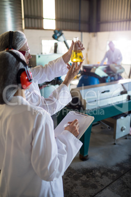 Technicians examining olive oil