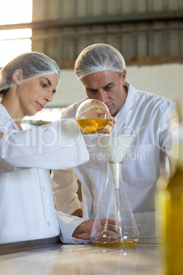 Technicians examining olive oil