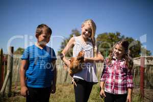 Kids carrying a hen in the farm