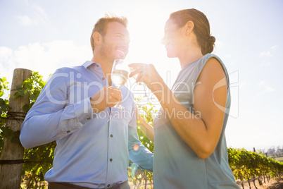 Couple toasting wineglasses on sunny day