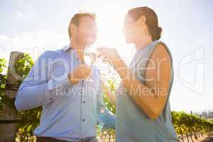 Couple toasting wineglasses on sunny day