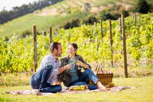 Full length of couple toasting wineglasses at vineyard