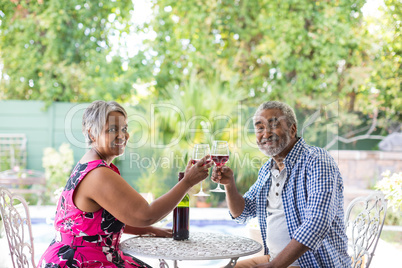 Portrait of senior couple toasting wineglasses