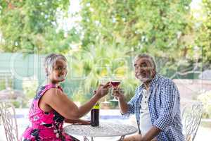 Portrait of senior couple toasting wineglasses