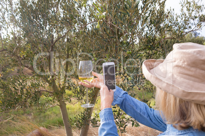 Woman taking a photo of wine glass in olives farm