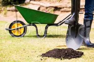 Low section of man with shovel by wheelbarrow