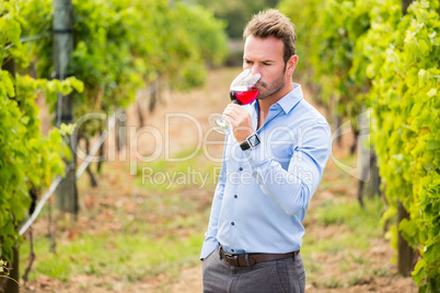 Man drinking red wine