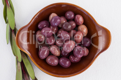 Directly above shot of olives in container by herb