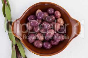 Directly above shot of olives in container by herb