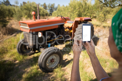 Woman using mobile phone in olive farm