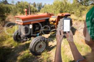 Woman using mobile phone in olive farm