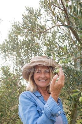 Portrait of happy woman harvesting olives from tree