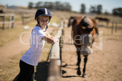 Girl leaning on the fence and looking at the horses