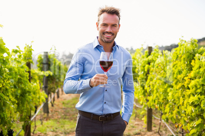 Portrait of man holding wineglass at vineyard