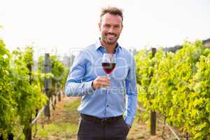 Portrait of man holding wineglass at vineyard