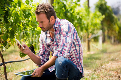 Man using phone while holding tablet at vineyard