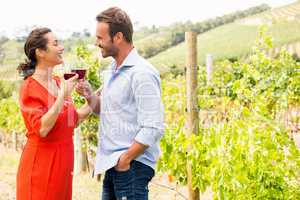 Smiling couple toasting red wine