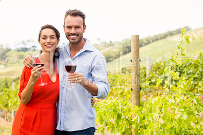 Portrait of smiling couple holding wineglasses